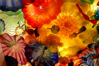Chihuly Garden and Glass Exhibit Seattle